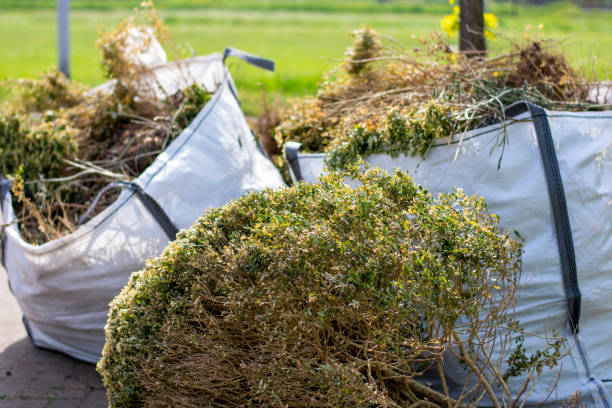 Best Recycling Services for Junk  in Wacousta, MI